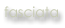 fasciata