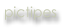 pictipes