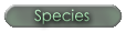 Species