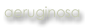 aeruginosa