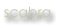 scabra