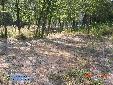 Ameles heldreichi - habitat