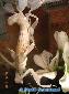 Hymenopus coronatus - Adult