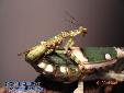 Theopropus elegans - Couple