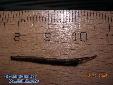Lonchodes hosei herberti - 