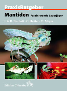 Mantiden - Fasziniernde Lauerjäger (mantids- fascinating lurking predators)