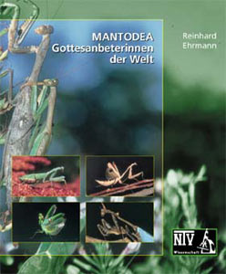 Mantodea - Gottesanbeterinnen der Welt