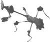 Gongylus
