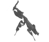 Phyllocrania